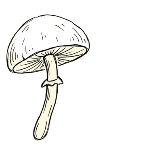Mushroom icon